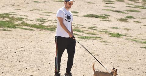 *EXCLUSIVE* Robert Pattinson walks his dog at the Laurel Canyon Dog Park