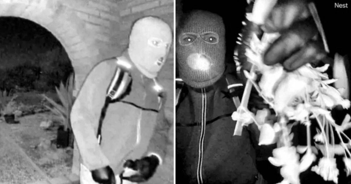 image of DNA found on a glove did not match anyone in CODIS.