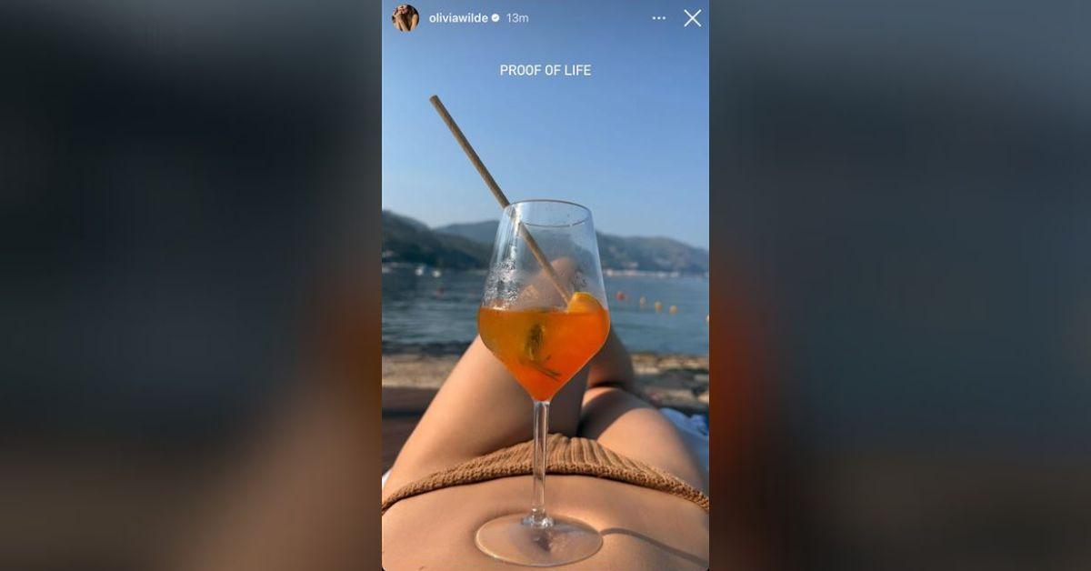 olivia wilde exposes nipples revealing vacation photo
