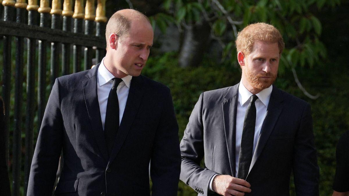 image of prince harry and prince William