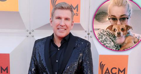 Todd Chrisley Offers Reward RaeLynn Lost Dog PP