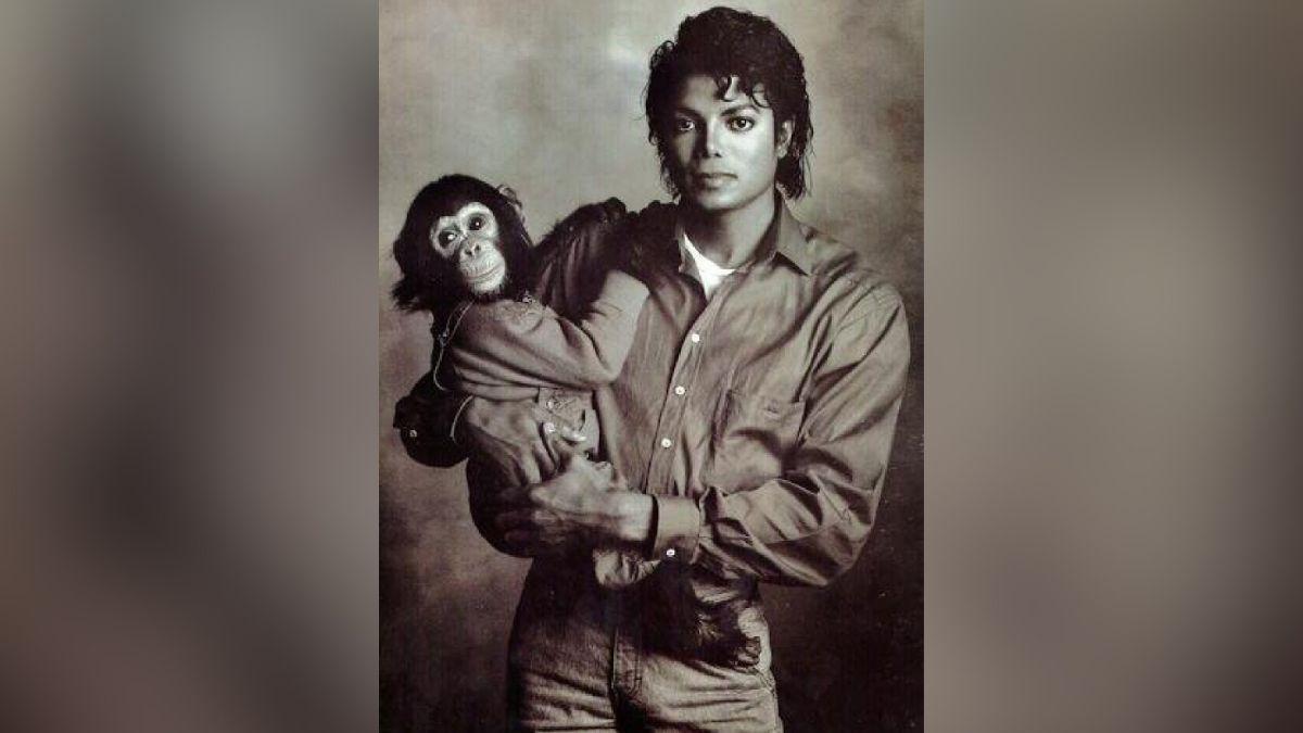 michael jackson bubbles chimpanzee relationship everything to know