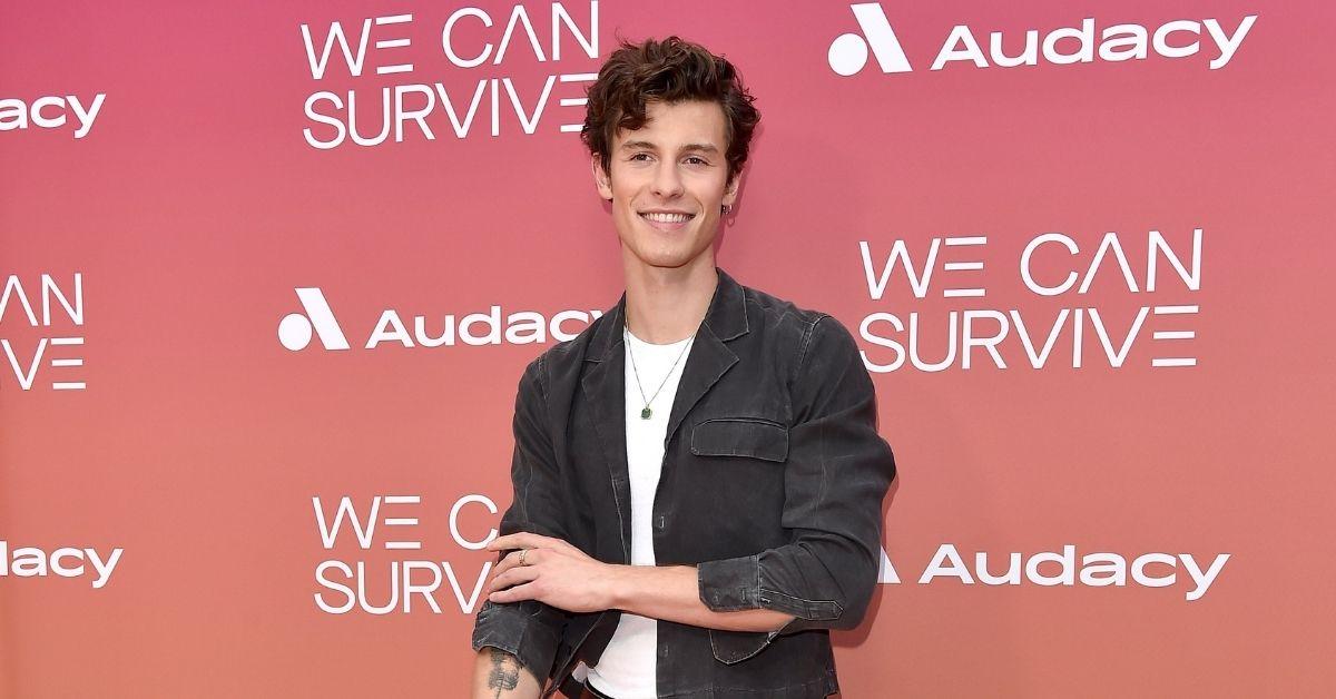 shawn mendes hard time with social media at the moment