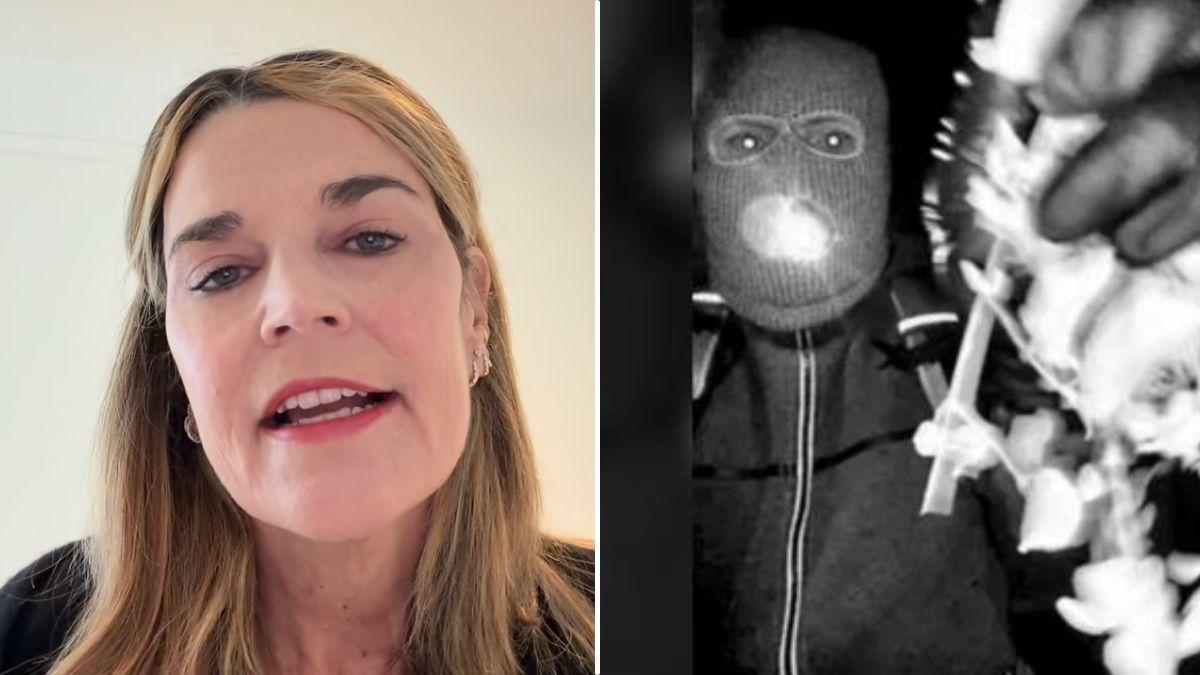 split of Savannah Guthrie, suspect. 