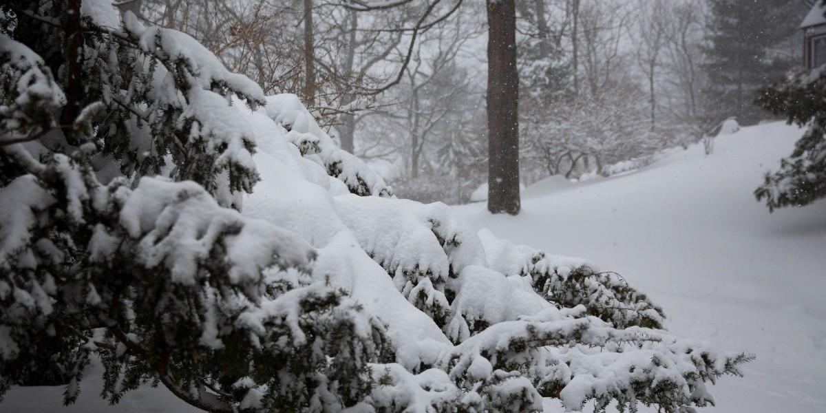 Argument Over Snow Shoveling Results In Three People Dead