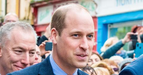 prince william plans slim monarchy expert worried royal familys future