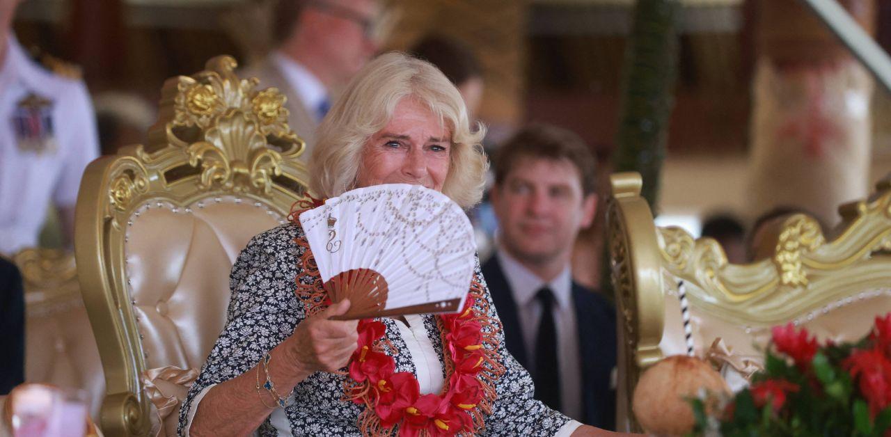 queen camilla declares no intention stop commitment ending domestic violence