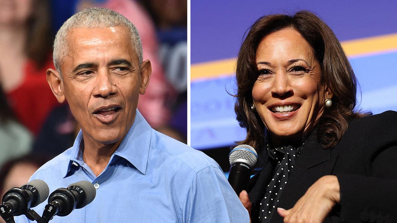 Image of While Joe Biden has kept a low profile during the midterms, Democrats including former President Barack Obama and Vice President Kamala Harris, have been campaigning.