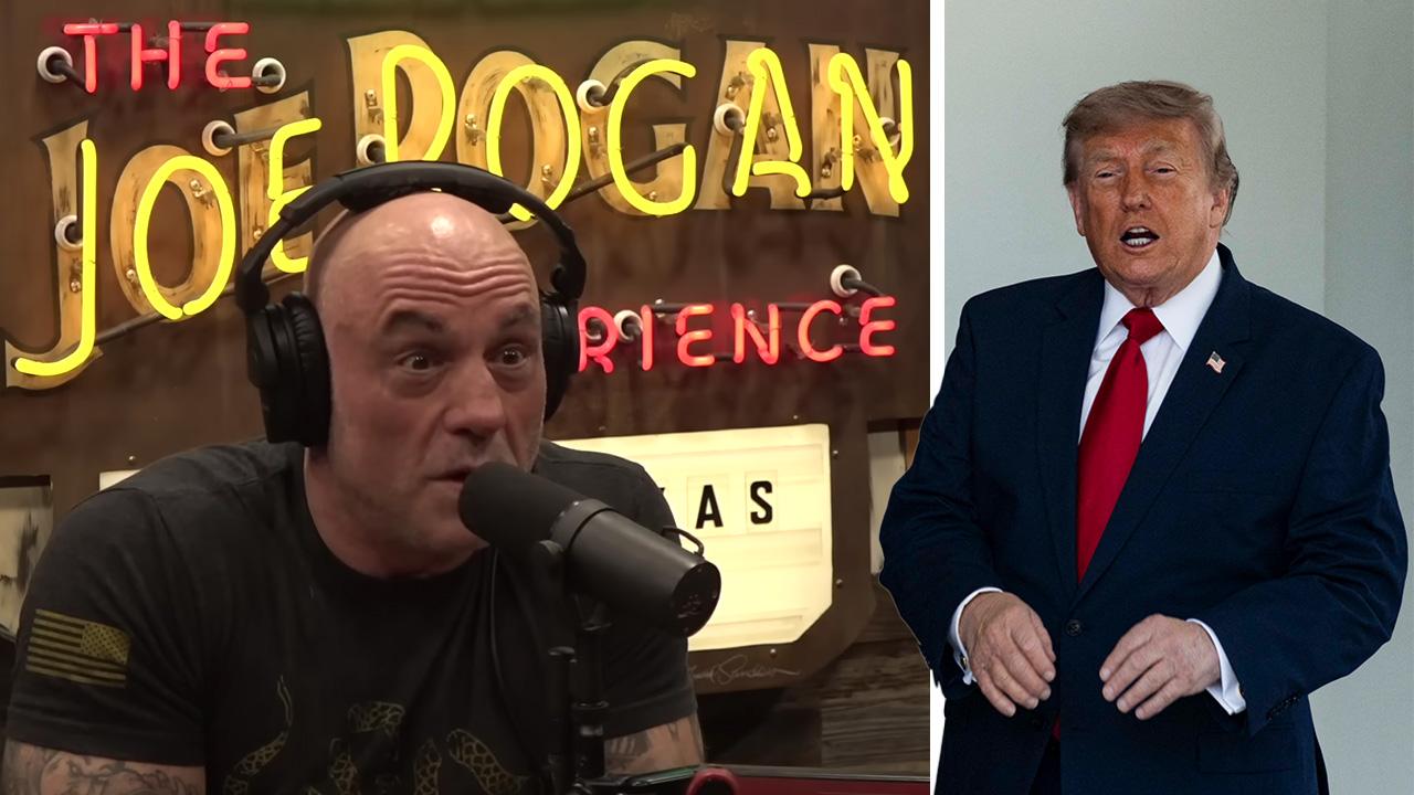 Joe Rogan