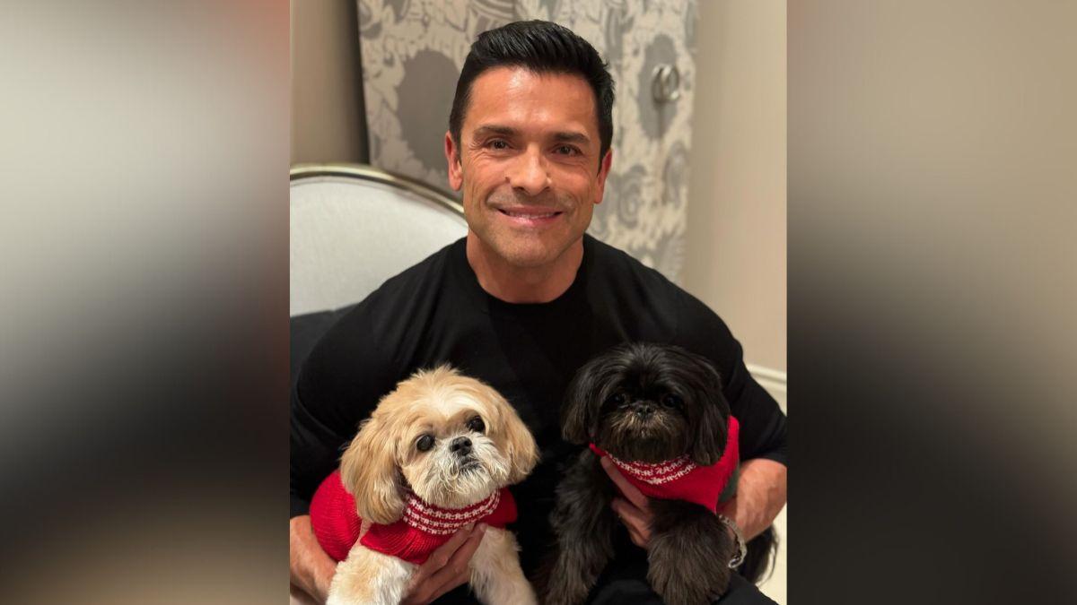 Image of Kelly Ripa and Mark Consuelos' dog Chewie died in February 2025 at age 17.