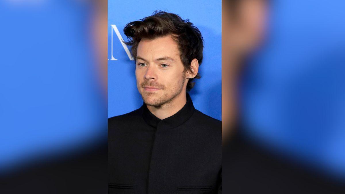 Image of Harry Styles' solo career reportedly created distance.