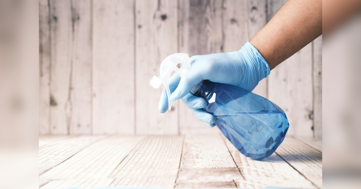 the complete guide to pest control prevention treatment and long term solutions
