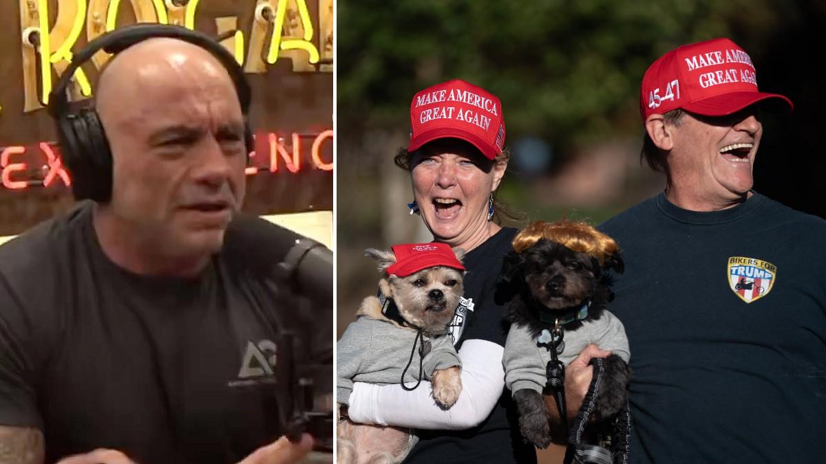 split of Joe Rogan and MAGA. 
