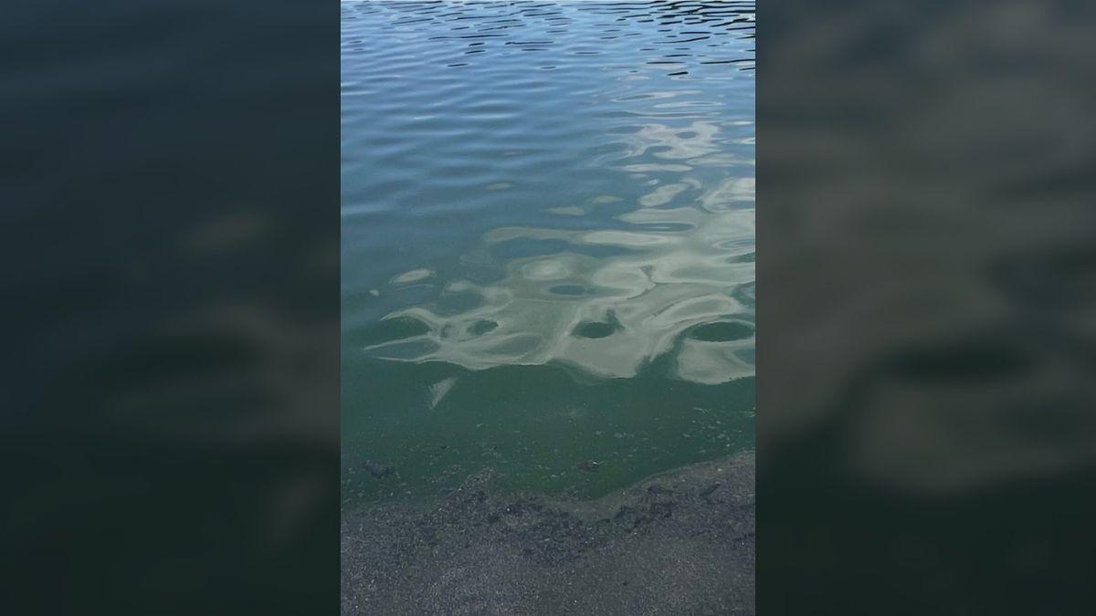 image of The Lincoln Memorial's Reflecting Pool drew criticism after an algae bloom turned the newly renovated water green.