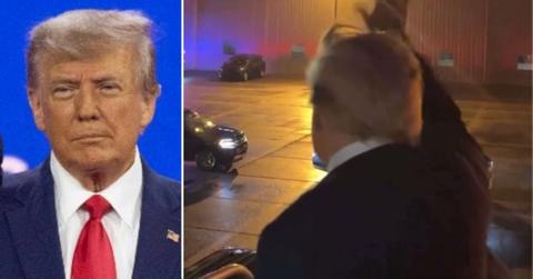 Composite photo of Donald Trump.