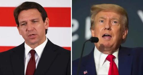 ron desantis donald trump