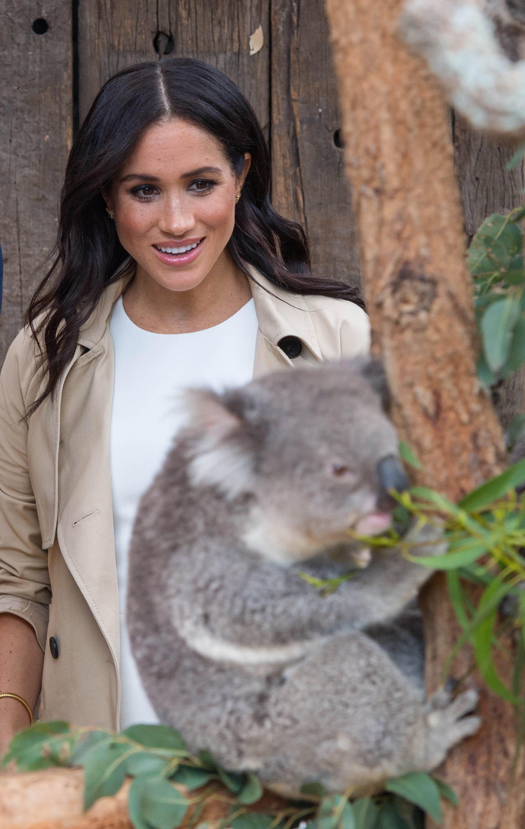 Duke and Duchess of Sussex Visit Taronga Zoo