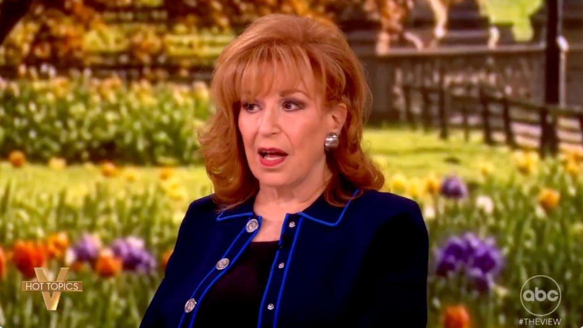 Photo of Elisabeth Hasselbeck slammed her former costar's words, telling her to 'simmer down.'