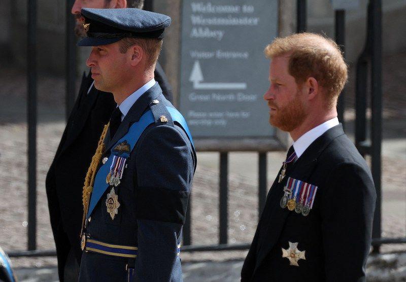 prince harry william