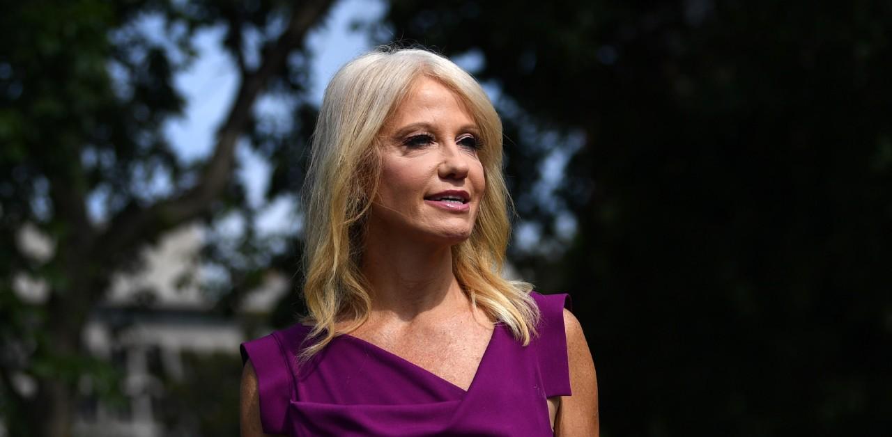 kellyanne conway controversial remarks