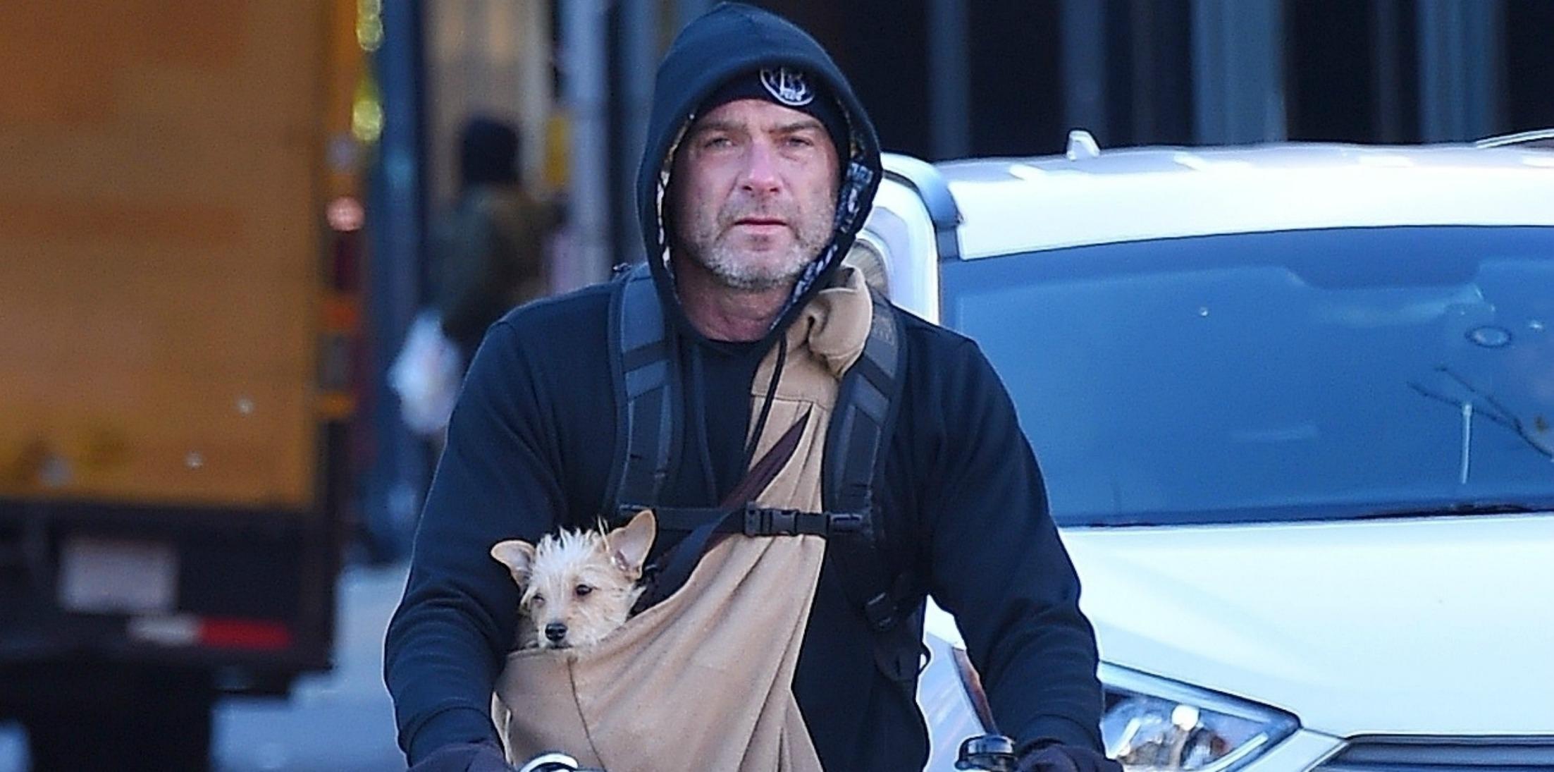 liev schreiber protecting dog cold pics long