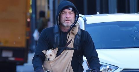liev schreiber protecting dog cold pics long