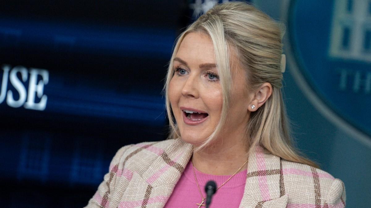 image of A photo of Karoline Leavitt was pulled. 