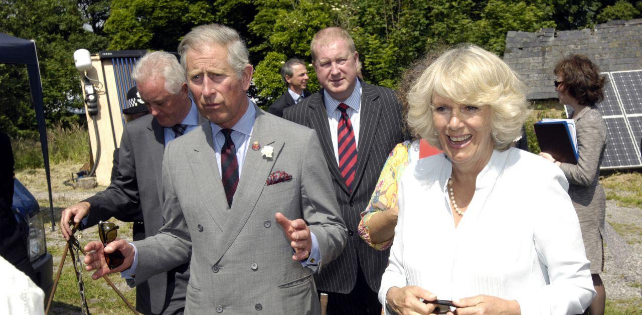 queen camilla very protective king charles tension prince harry