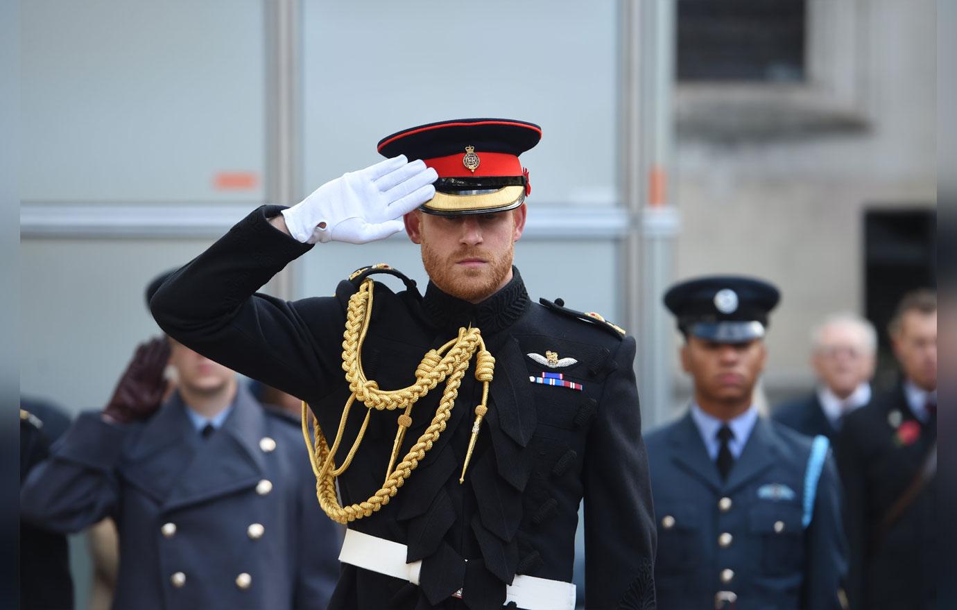 PICS Prince Harry Salutes Servicemen At The Field of Remembrance