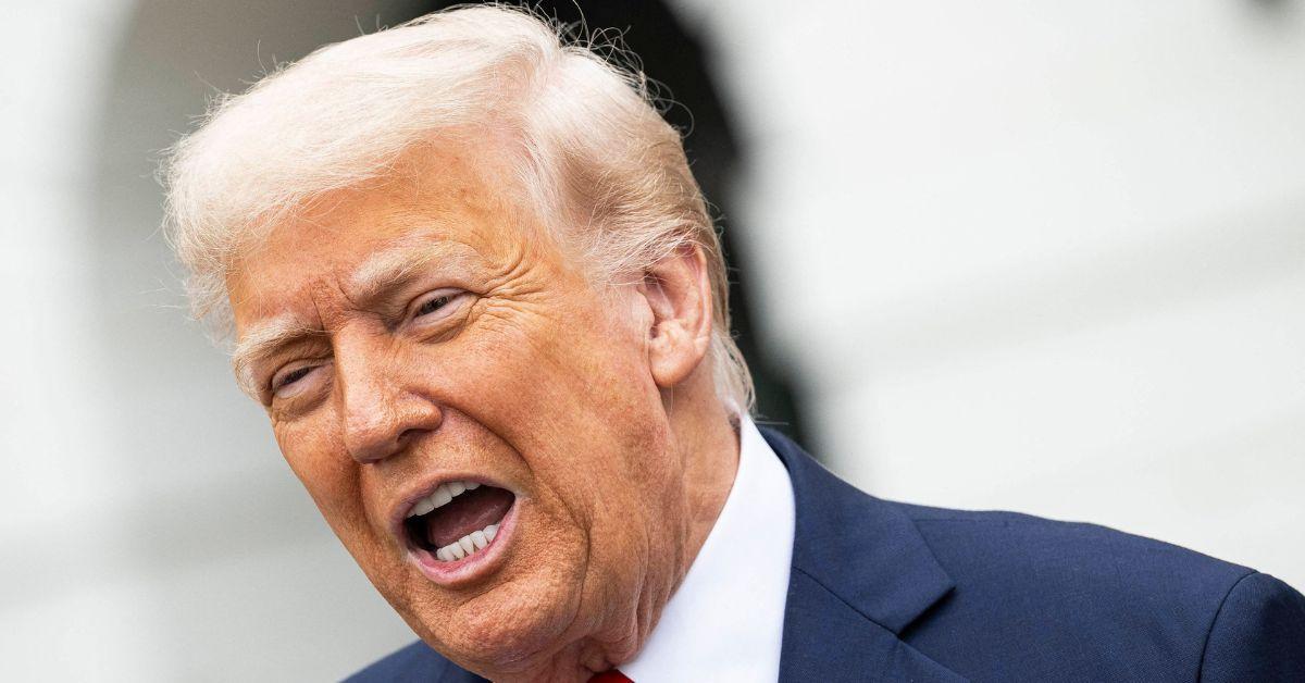 bonnie blue marry donald trump confession