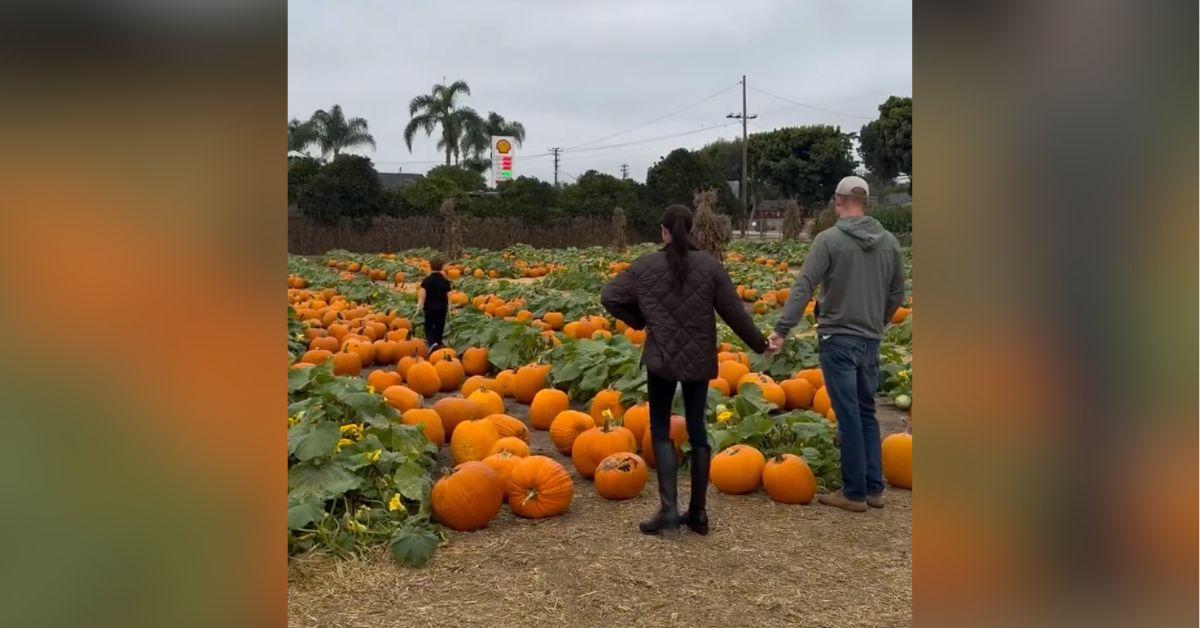image of Meghan Markle and Prince Harry enjoyed a day at the pumpkin patch with their kids.