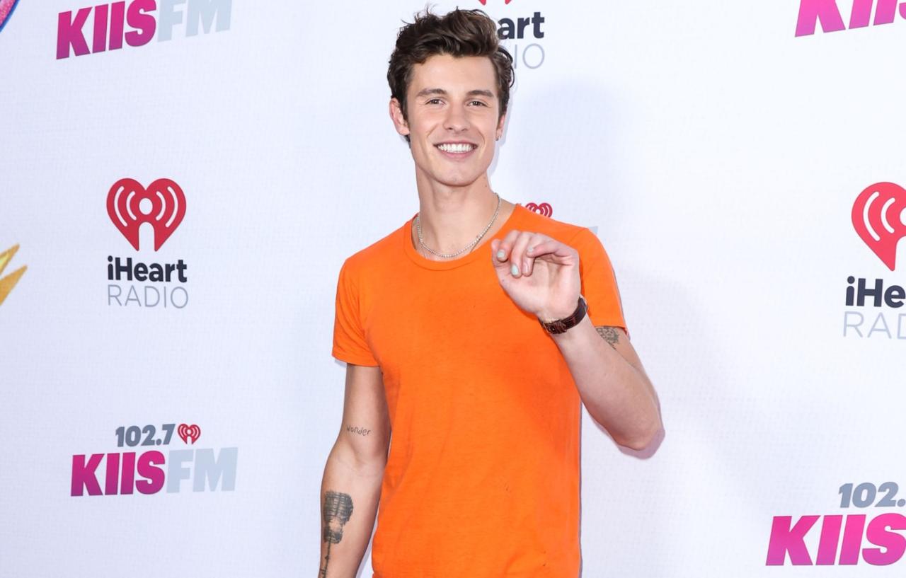 Is Shawn Mendes Dating His Chiropractor Dr. Jocelyne Miranda?
