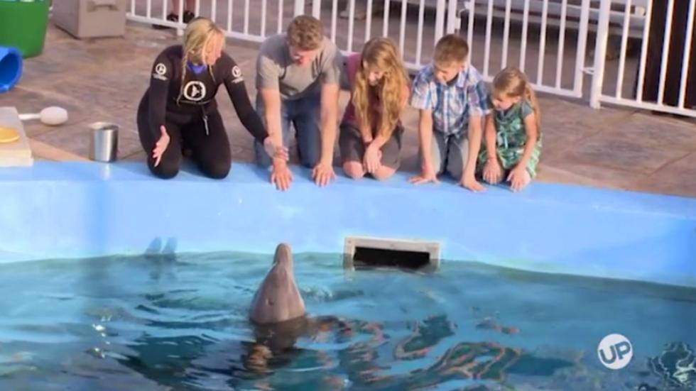 Bringing up bates florida aquarium