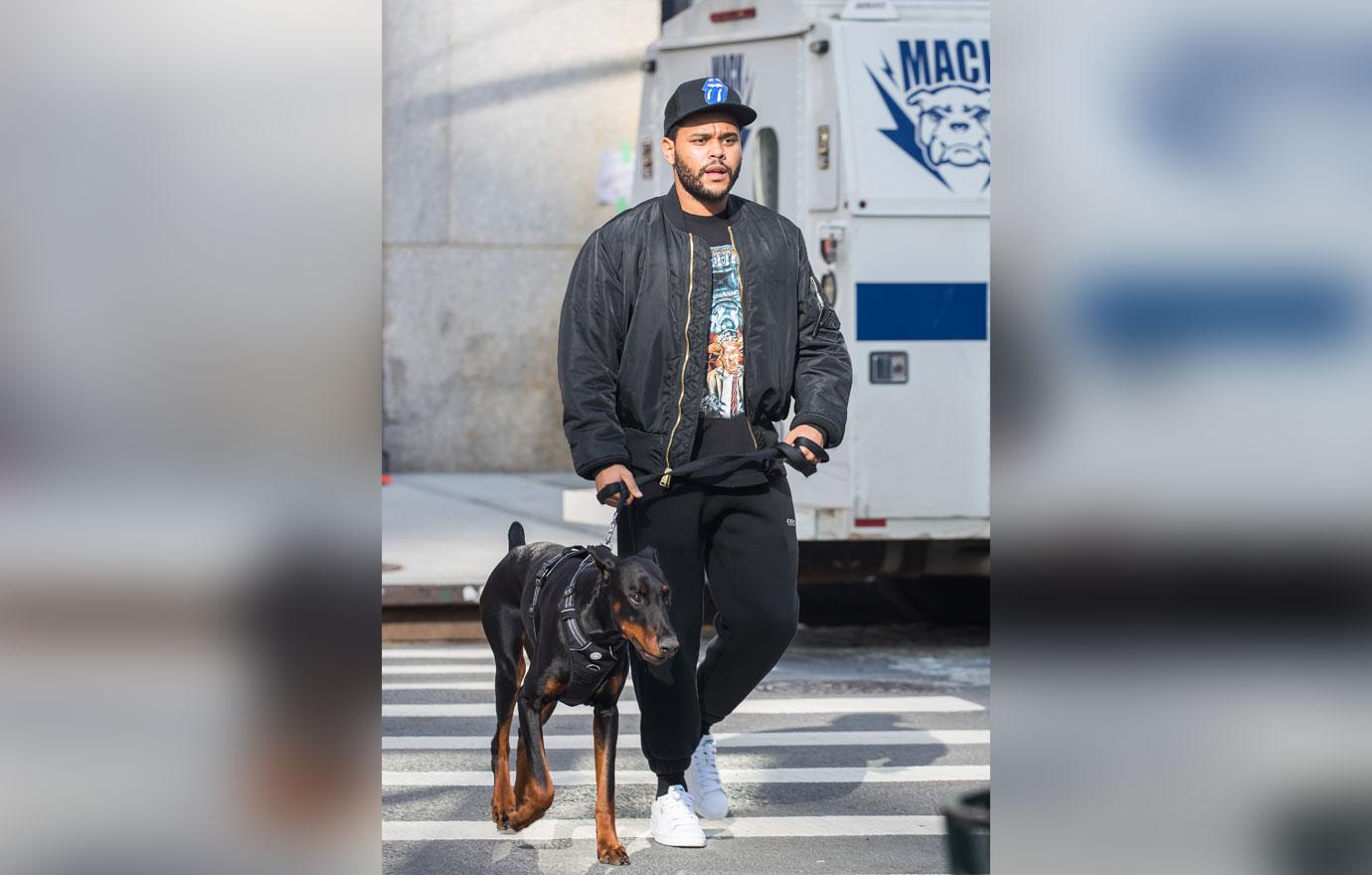 The Weeknd Bundles Up For Dog Walk In Cool NYC Weather: Photo 4175537, The  Weeknd Photos