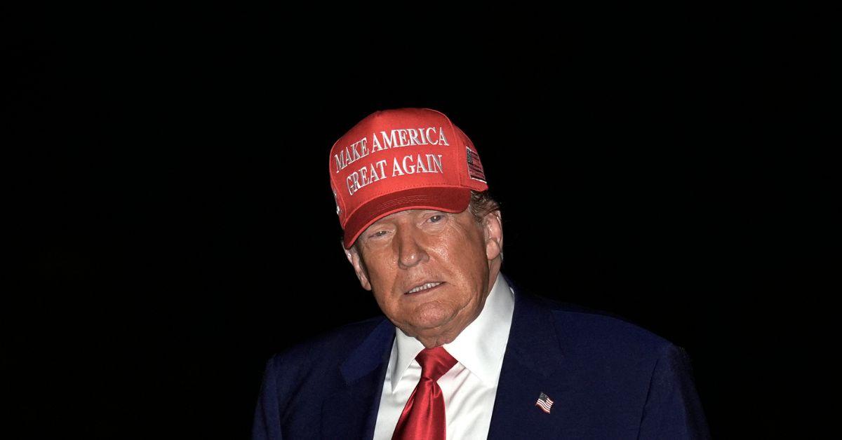 donald trump ai generated photo himself as the pope