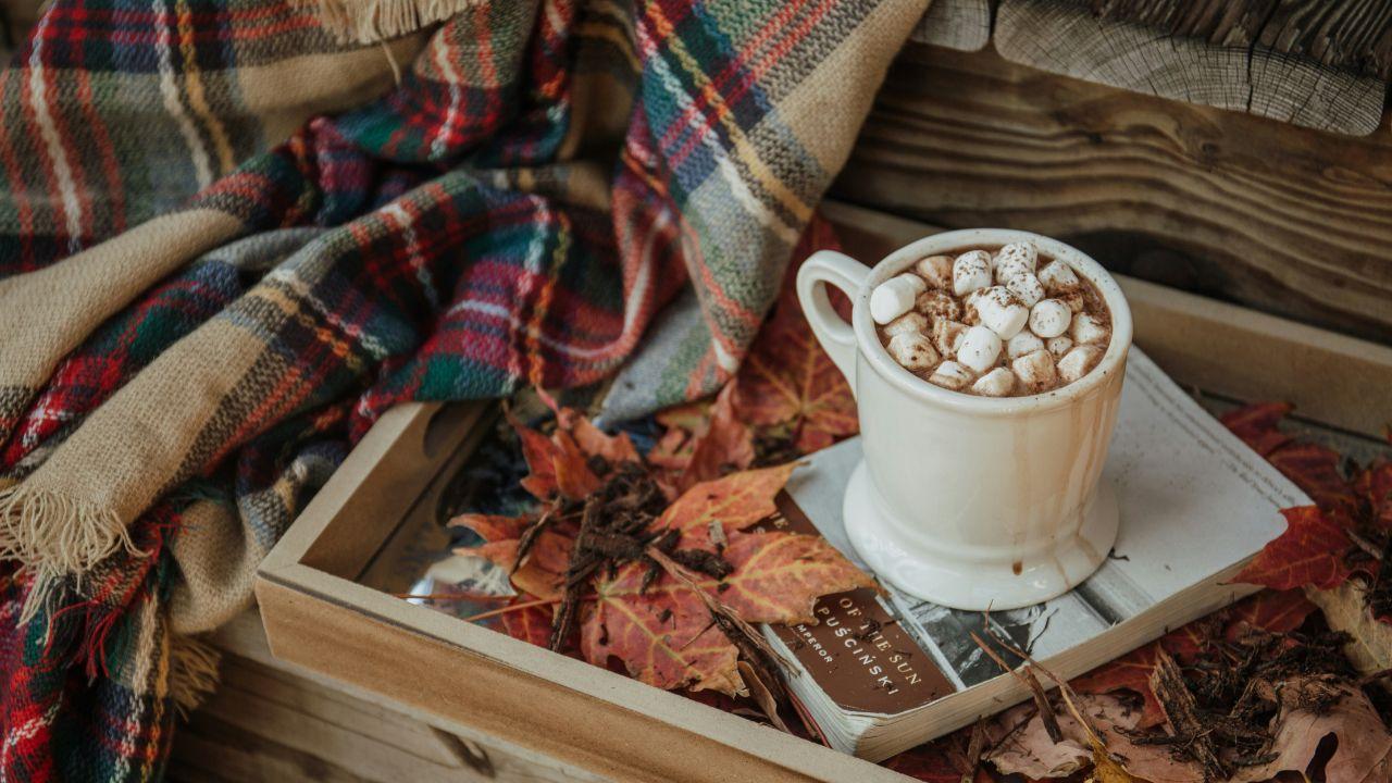 pic of hot chocolate.
