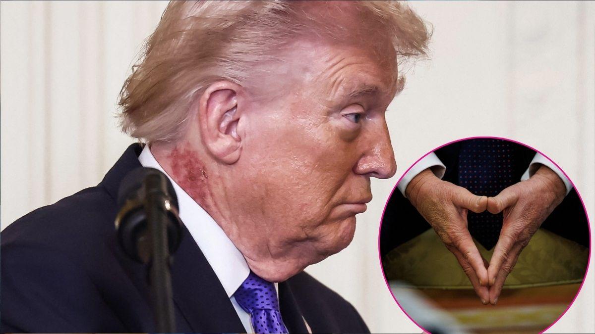 photo of Donald Trump. 