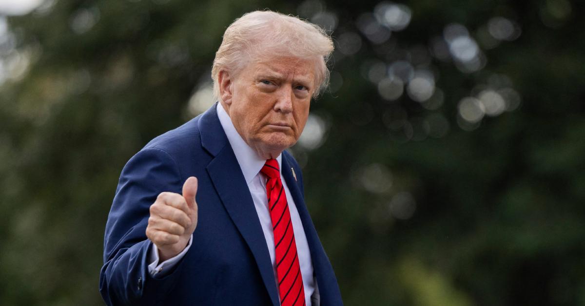 Image of critics called Donald Trump an 'idiot.'