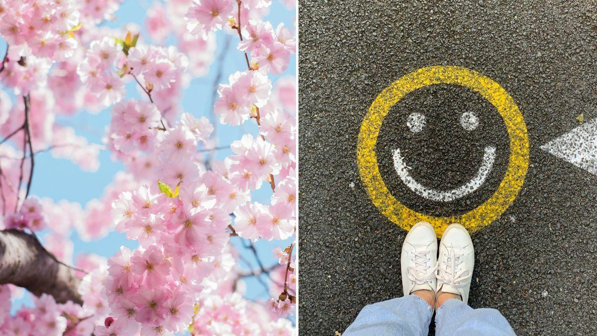 spring guide new products