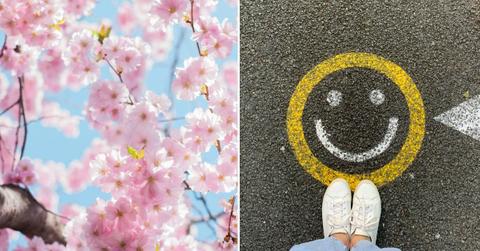 spring guide new products