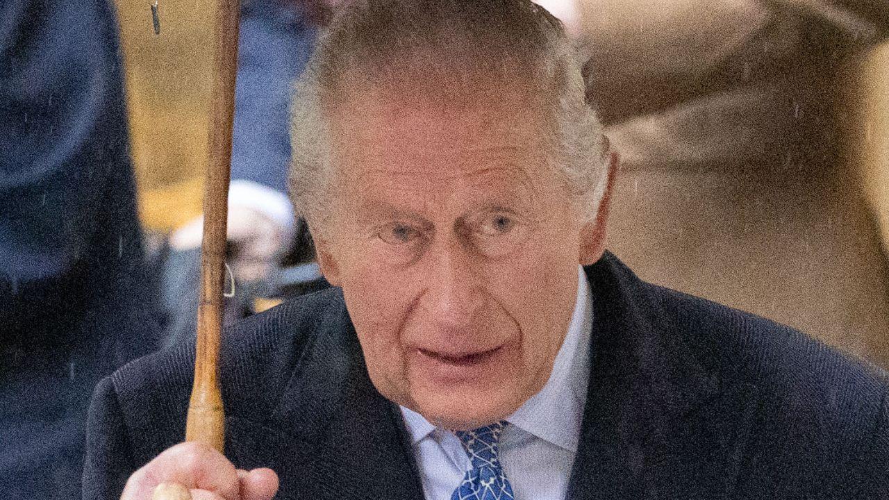 Image of King Charles revealed that Prince Harry and Meghan Markle remain non-working royals.