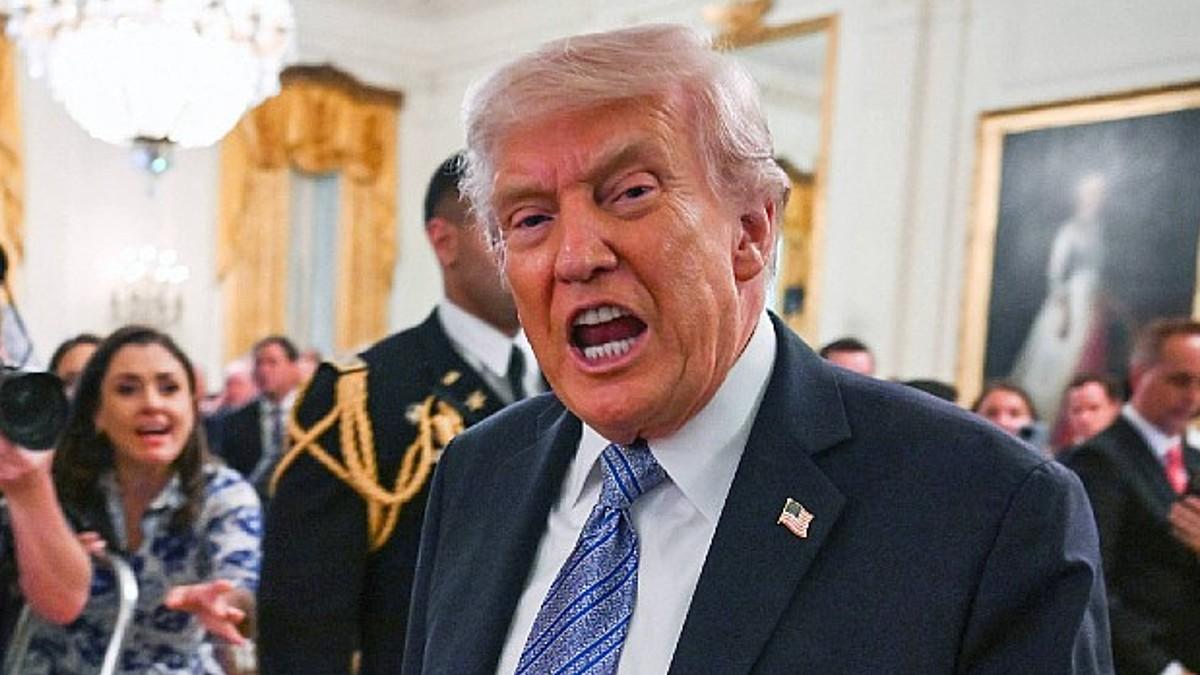 pic of Donald Trump. 