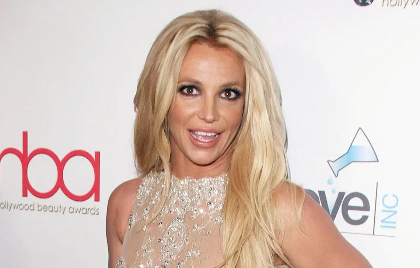 Britney Spears Was Sued for Putting a Fake Louis Vuitton Logo on a