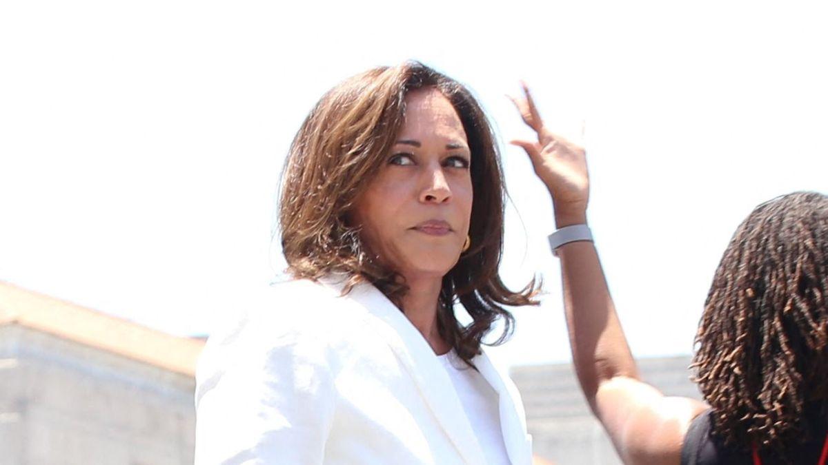 Image of Kamala Harris criticized ICE after Lorenzo Salgado Araujo was fatally shot in Houston.