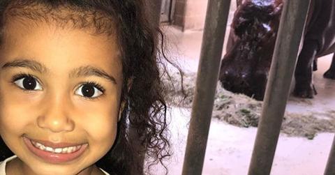 Kim kardashian kanye west north san diego zoo pics