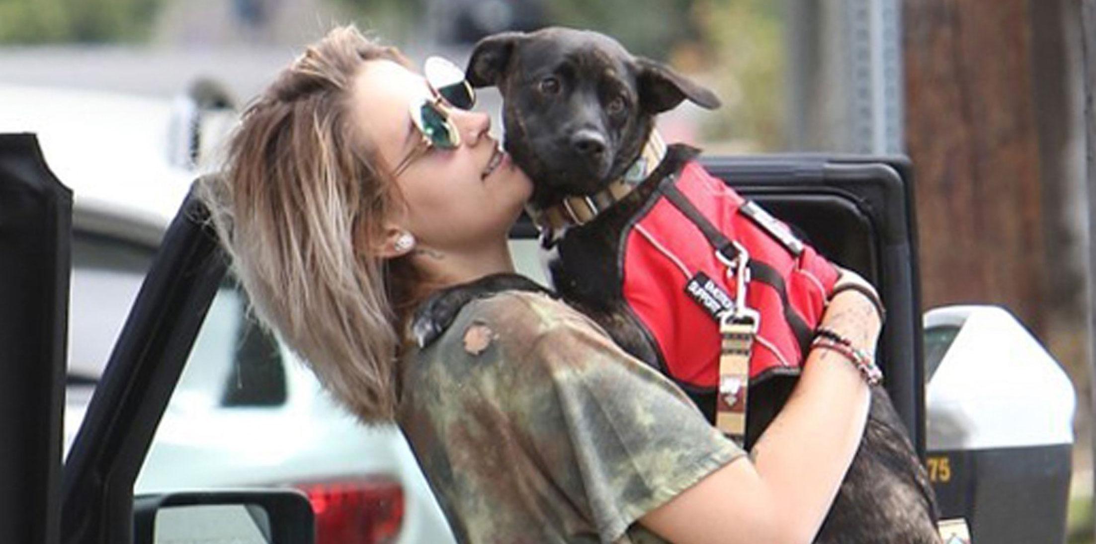 Paris Jackson Dog Vet Photos Long