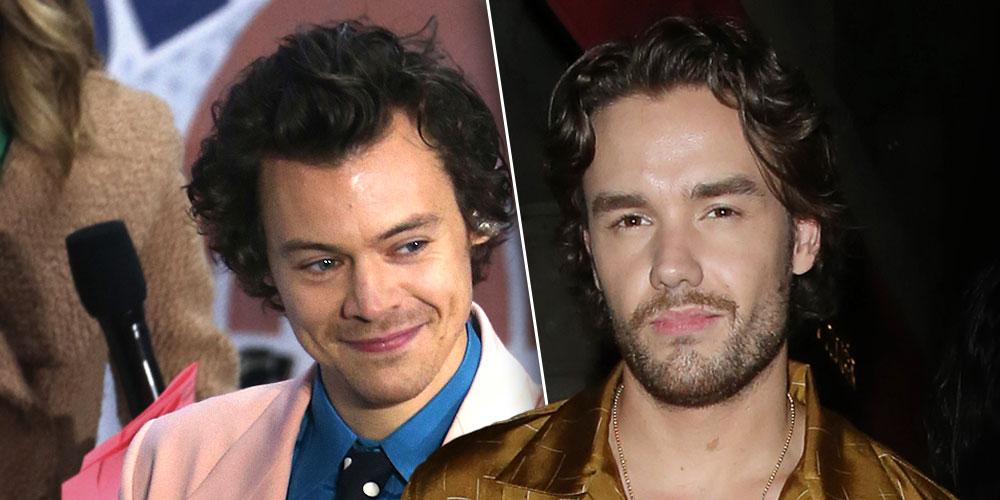 1D Alum Liam Payne (right) Defends Harry Styles' (left) Vogue Cover, See Reaction