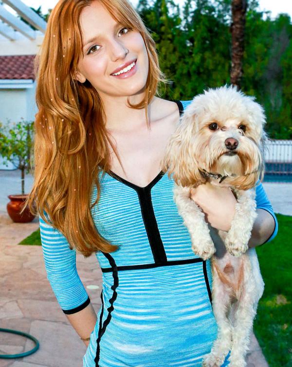 Bella Thorne Films Et Programmes Tv What Did Bella Thorne Get Schooled in on the Blended Set?