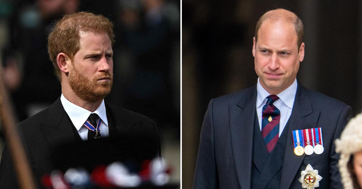 prince harry claims william wanted him to hit back pp