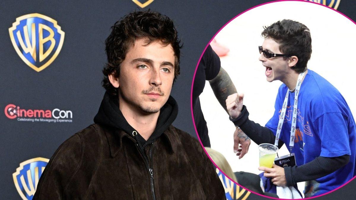 Composite photo of Timothée Chalamet.
